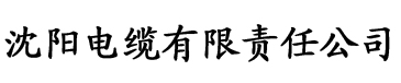 李兵的幸福生活电缆厂logo